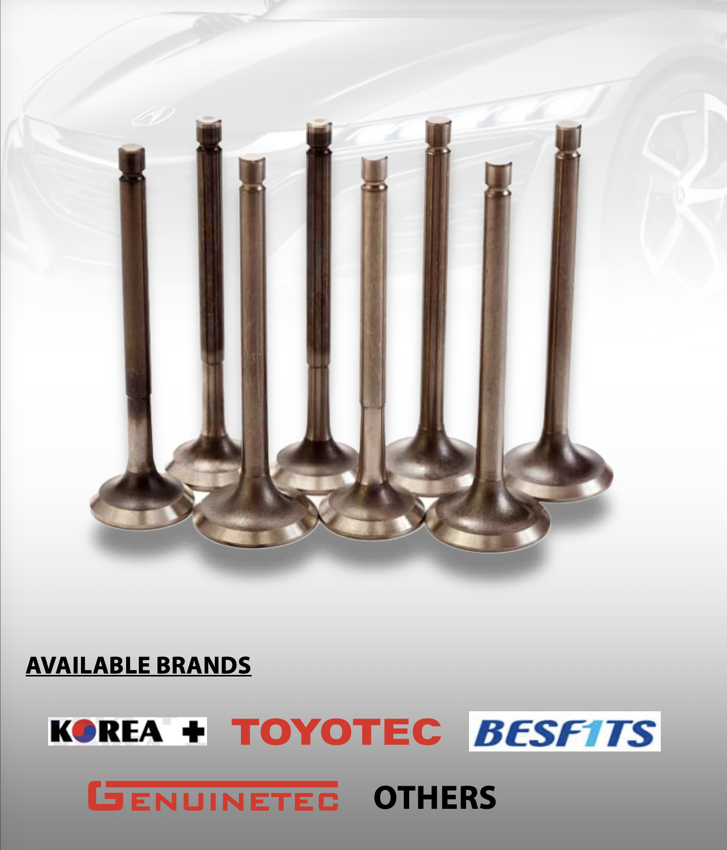Engine Valve