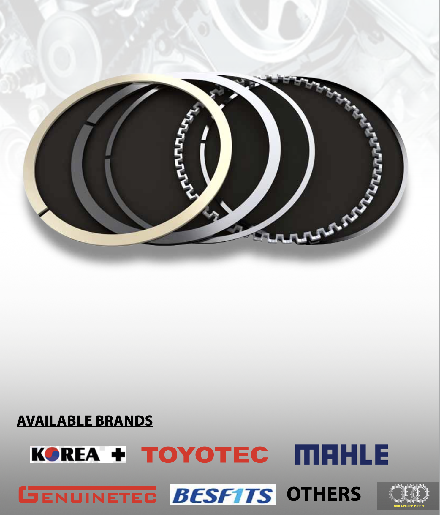 Piston Ring