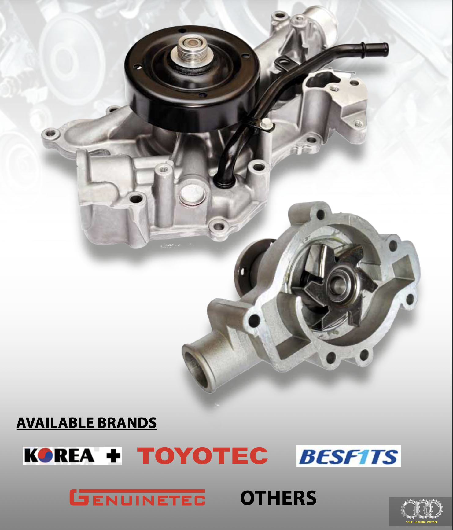 Water Pump